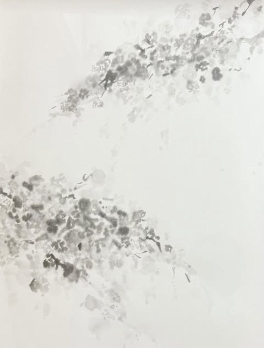 plutonium-桜花-