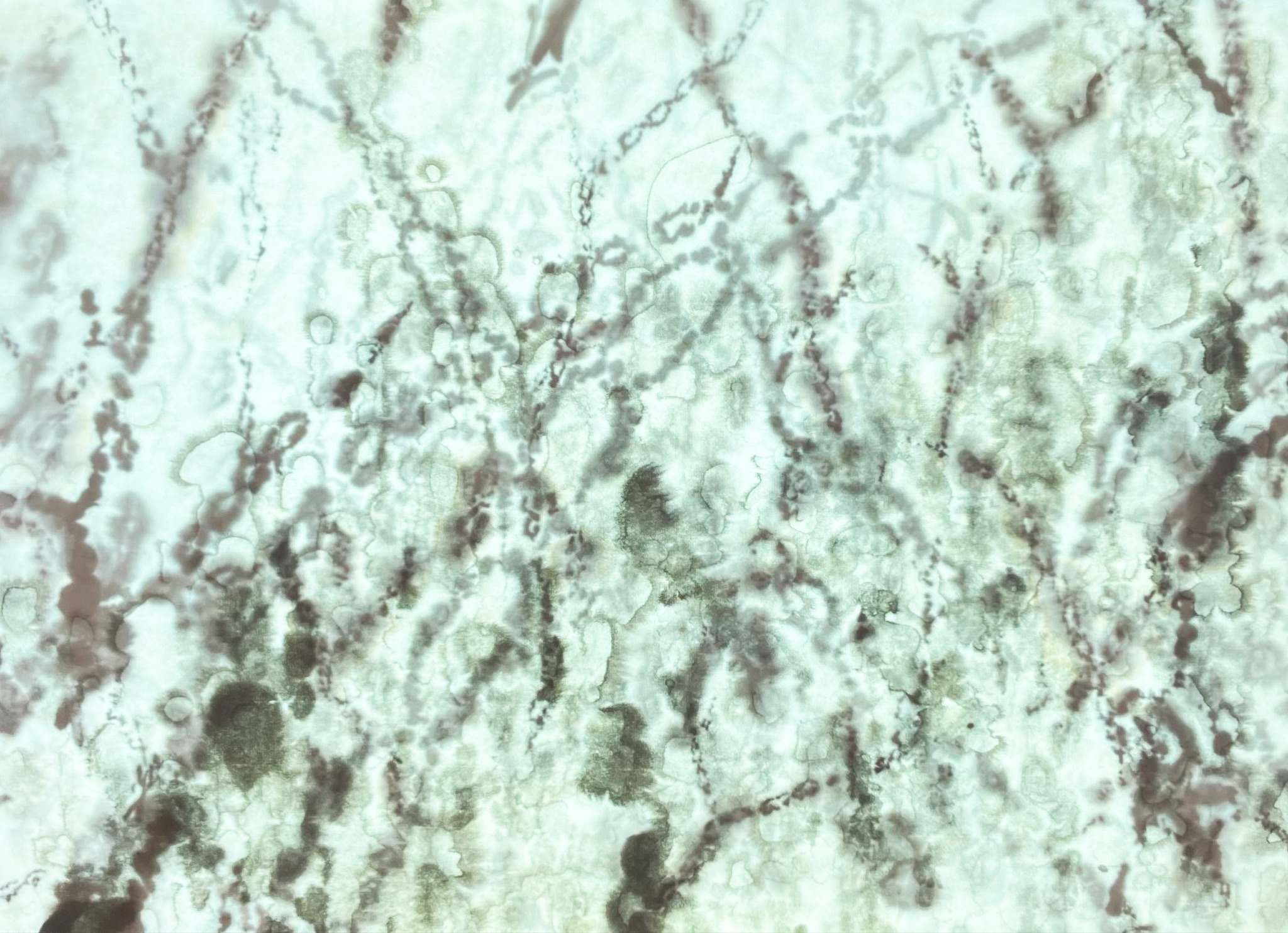 microscope -忘却と継承-