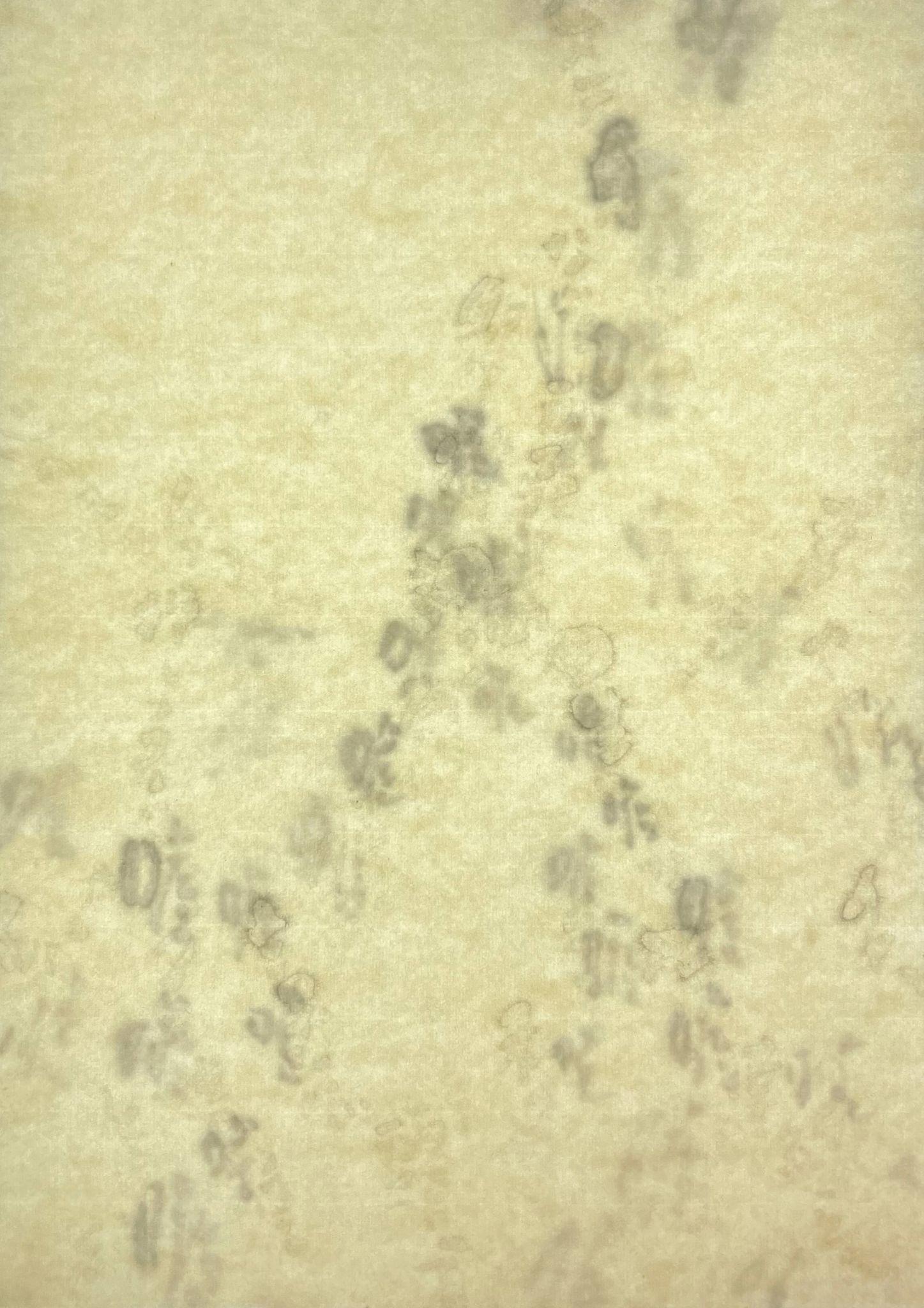microscope